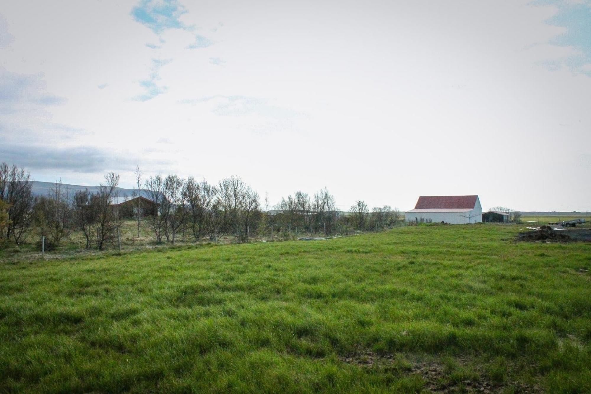 Sun-Cottage South Iceland Olfus Zewnętrze zdjęcie